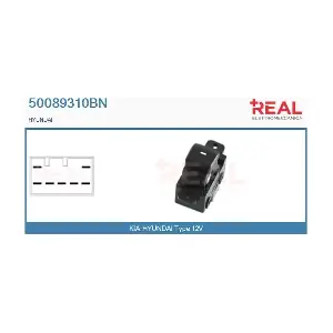 50089310BN REAL