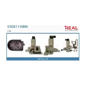 REAL 53081110BN