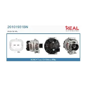 REAL 20101931BN
