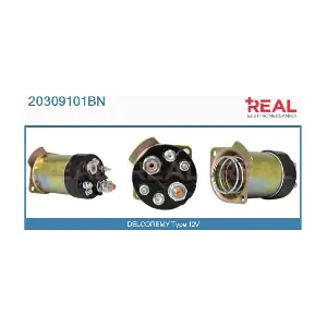REAL 20309101BN