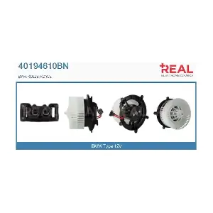 40194610BN REAL