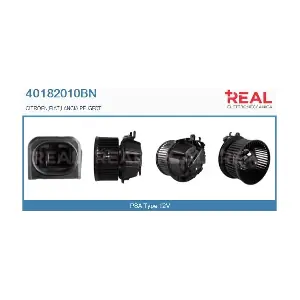 40182010BN REAL
