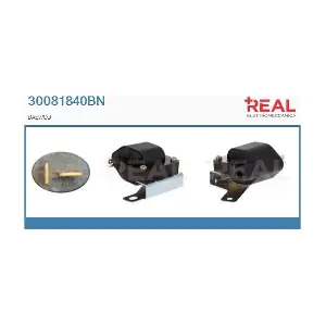 30081840BN REAL