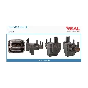 53294100OE REAL