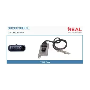 8020630BOE REAL