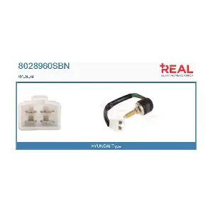 8028960SBN REAL