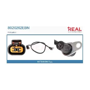 8020262EBN REAL