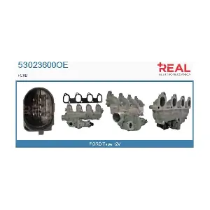 53023600OE REAL