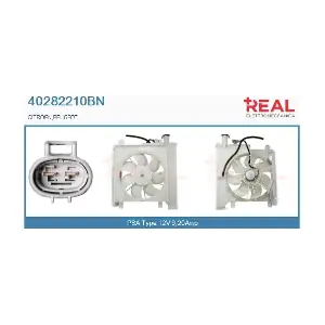 REAL 40282210BN