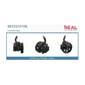 REAL 36123731OE