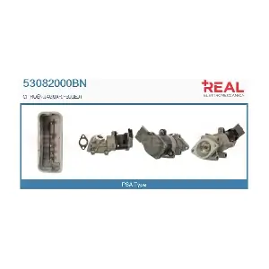 REAL 53082000BN