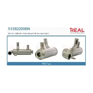 REAL 53382200BN