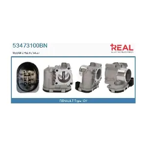 REAL 53473100BN