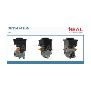 36194741BN REAL