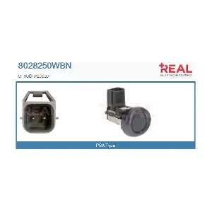 8028250WBN REAL