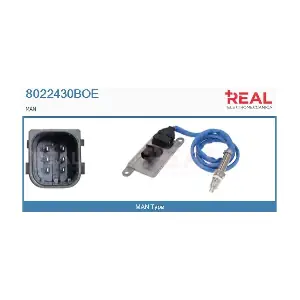 8022430BOE REAL