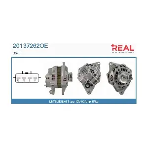 REAL 20137262OE