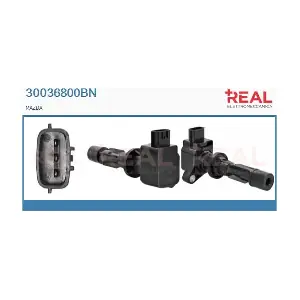 REAL 30036800BN