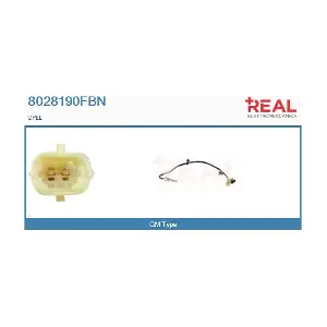 8028190FBN REAL