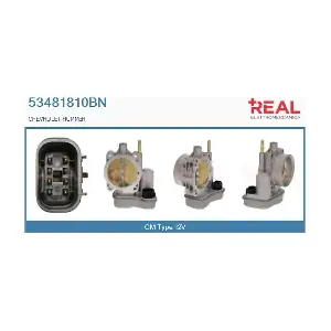 53481810BN REAL