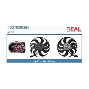 40276363BN REAL