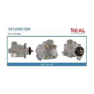 REAL 36120001BN