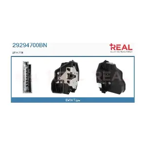 29294700BN REAL