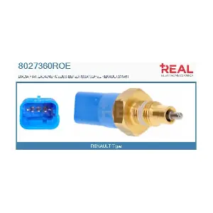 REAL 8027360ROE