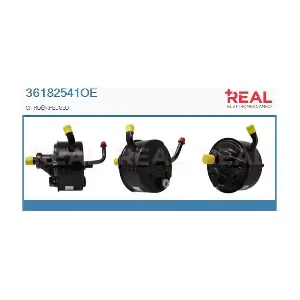 REAL 36182541OE