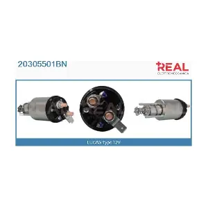 REAL 20305501BN