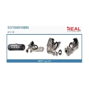 REAL 53194910BN