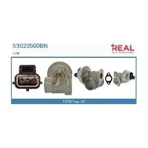 53023500BN REAL