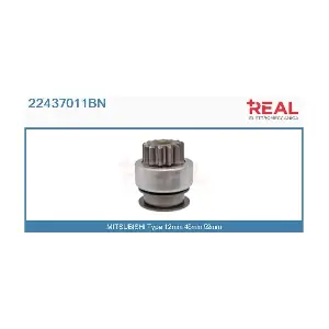 REAL 22437011BN
