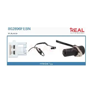 802896FEBN REAL