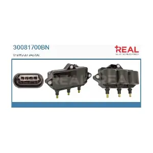 REAL 30081700BN