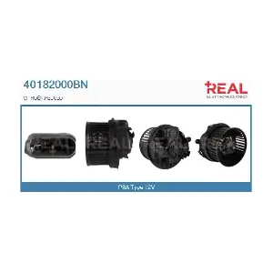 40182000BN REAL