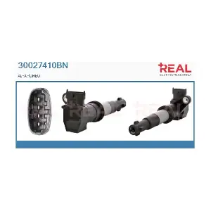 30027410BN REAL