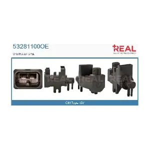 53281100OE REAL
