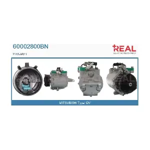 60002800BN REAL