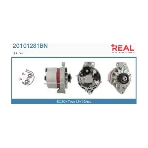 REAL 20101281BN