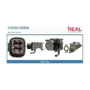 REAL 53094700BN