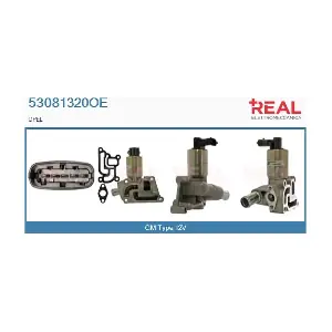 REAL 53081320OE