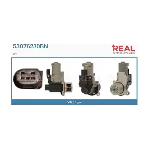 REAL 53076230BN