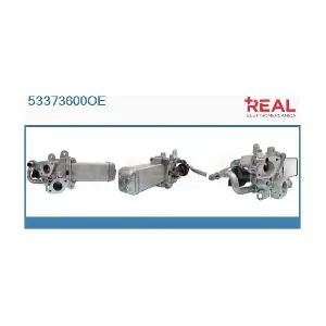 53373600OE REAL