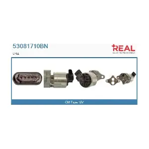 REAL 53081710BN