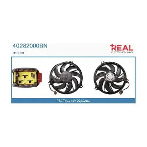 40282000BN REAL