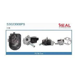 53023000PS REAL