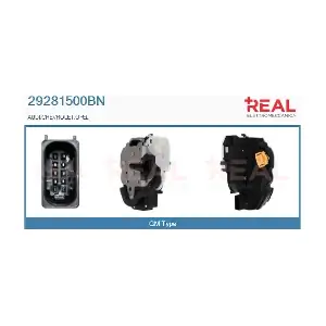 29281500BN REAL