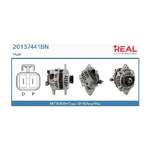 REAL 20137441BN