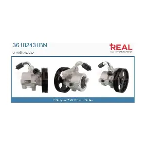 REAL 36182431BN
